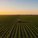 Agronegócio Brasileiro 2025: Crescimento de 4% e Desafios Campos de cultivo vastos e produtivos no agronegócio brasileiro ao amanhecer, simbolizando o crescimento e a riqueza do setor.