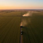 Exportações agrícolas Brasil 2025: crescimento de 8% previsto Vasta plantação agrícola brasileira sob o sol nascente, com máquinas colhendo, simbolizando a força das exportações do agronegócio.