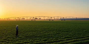 Agricultor observa lavoura moderna ao amanhecer, representando o futuro do crédito rural.